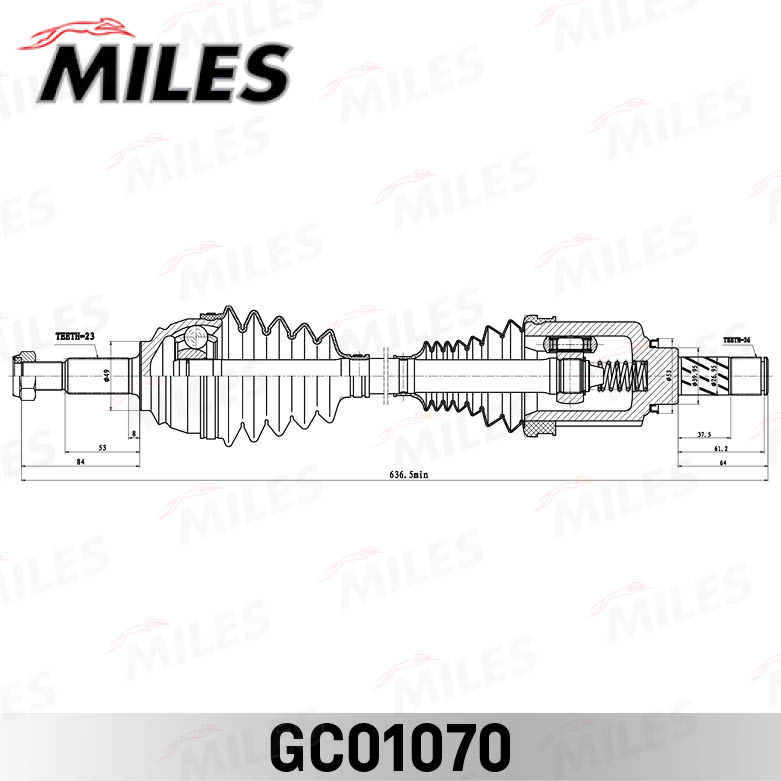 GC01070