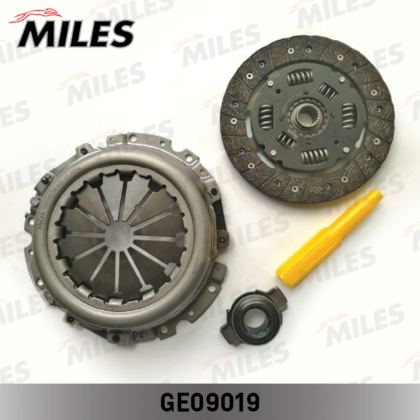 GE09019