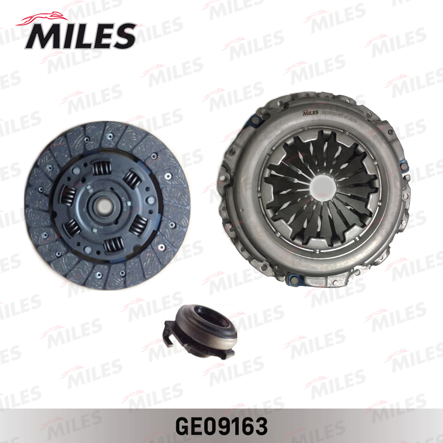 GE09163