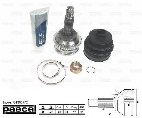 G13029PC