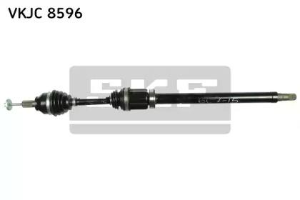 VKJC 8596
