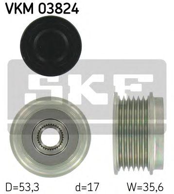 VKM 03824