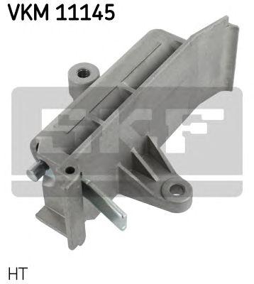 VKM 11145
