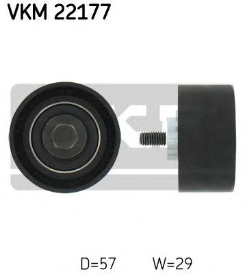 VKM 22177