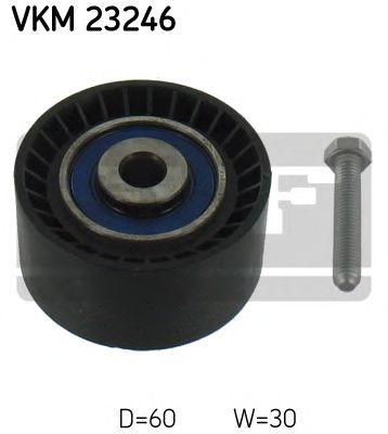 VKM 23246