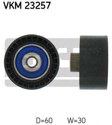 VKM 23257