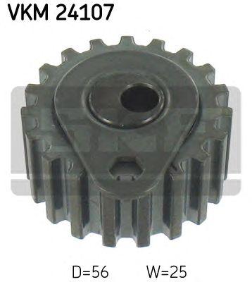 VKM 24107
