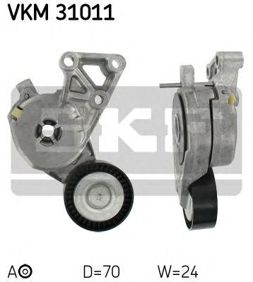 VKM 31011