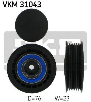VKM 31043
