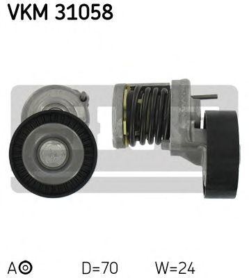 VKM 31058
