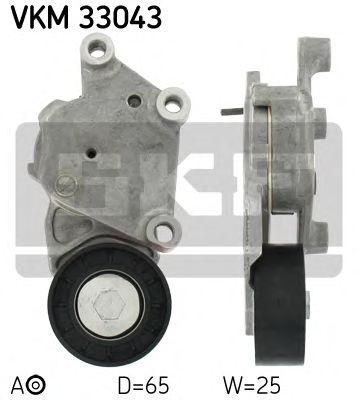 VKM33043