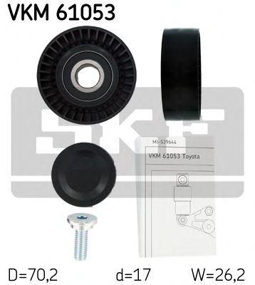 VKM 61053