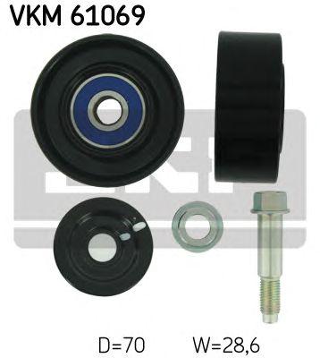 VKM 61069