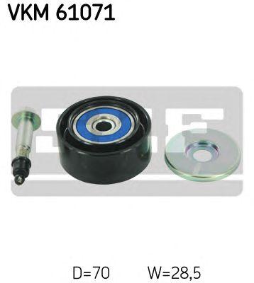 VKM 61071