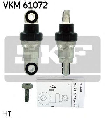 VKM 61072