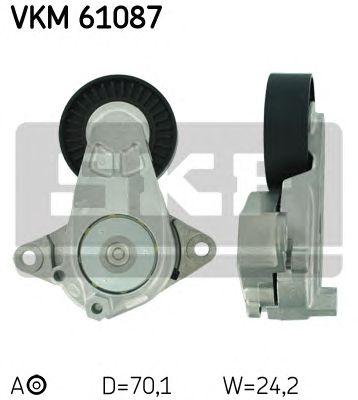 VKM 61087