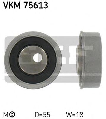 VKM 75613