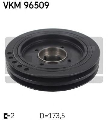 VKM 96509