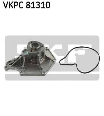 VKPC 81310