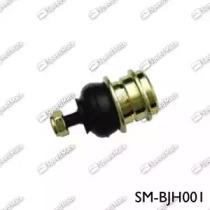 SM-BJH001