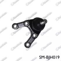 SM-BJH019