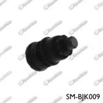 SM-BJK009