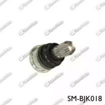SM-BJK018