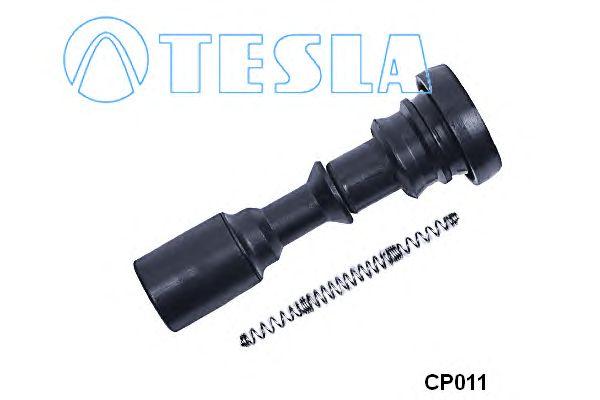 CP011