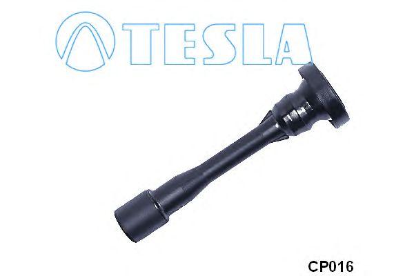 CP016