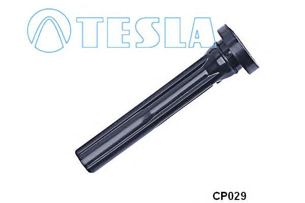 CP029