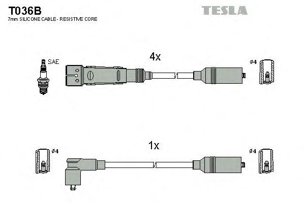 T036B