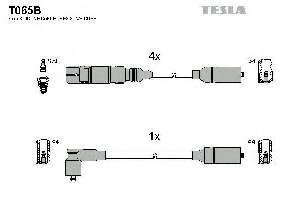T065B