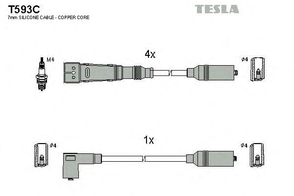 T593C