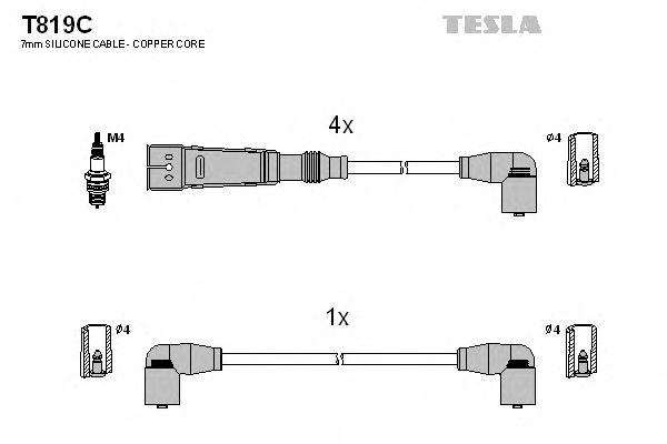 T819C