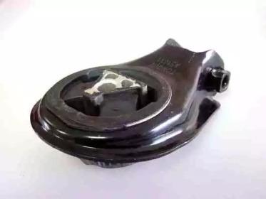 AS1011