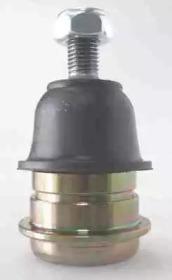 PN-020