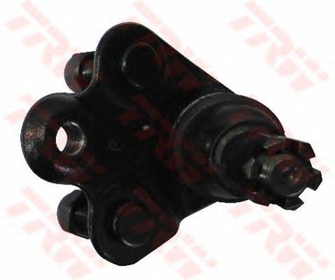 JBJ7562