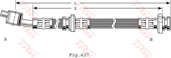 PHD481
